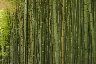竹制品保养方法